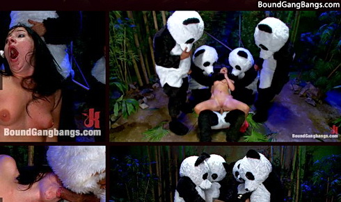 Beautiful brunette dreams about Panda Groupsex